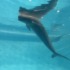 水族館へGO!